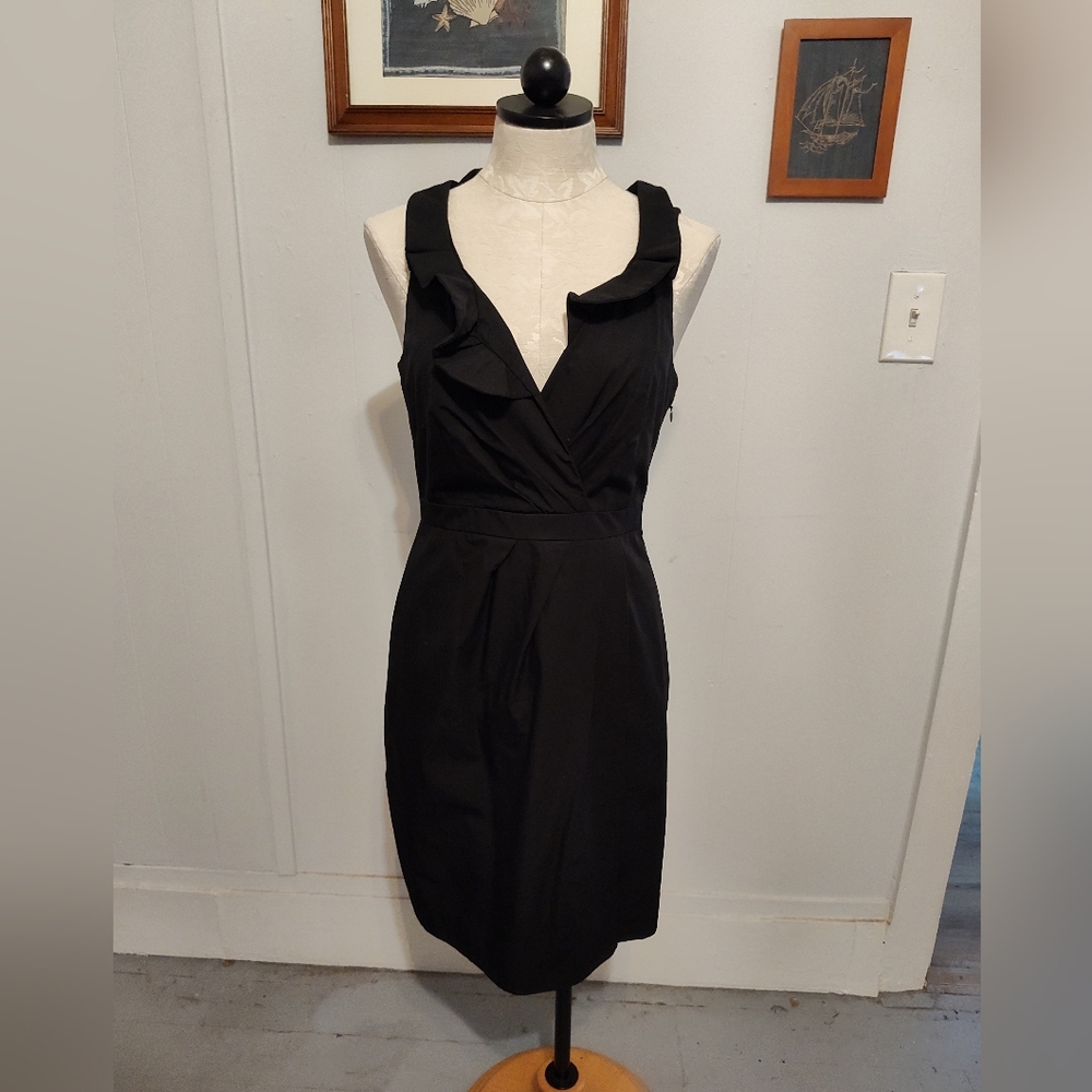 J Crew Dress